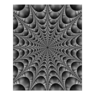 Web in zwart-wit perfect poster