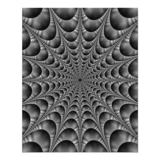 Web in zwart-wit perfect poster (Voorkant)