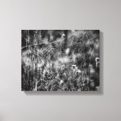 Web-Natuur voor zwarte en witte spin Canvas Afdruk (Voorkant)