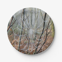 Web of European Garden Spider Paper Bord