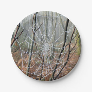 Web of European Garden Spider Paper Bord