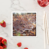 Web of European Garden Spider Paper Napkins Servet (Insitu)