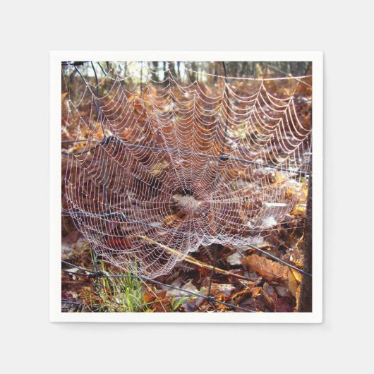 Web of European Garden Spider Paper Napkins Servet (Voorkant)