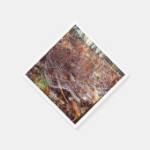 Web of European Garden Spider Paper Napkins Servet (Hoek)