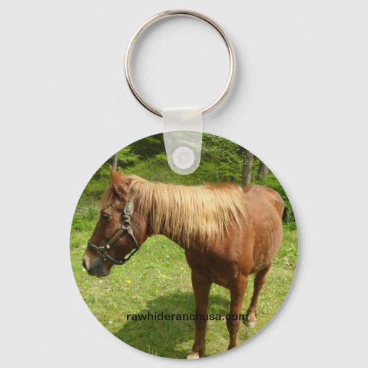 Web sleutelhanger (Voorkant)