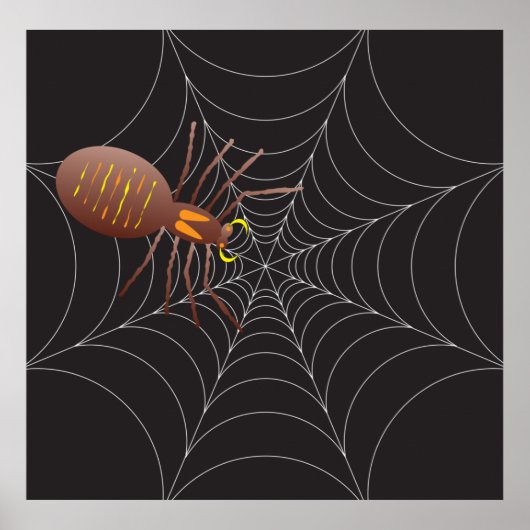 Web spin en spin poster (Voorkant)