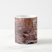 Web van de Europese Mok voor tuinbouw (Center)