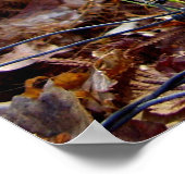 Web van de Europese Poster voor tuinbouw (Hoek)