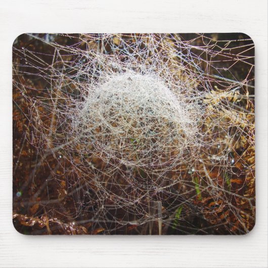 Web van de Mat van de Dome Spider Mouse Muismat (Voorkant)