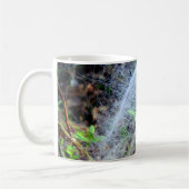 Web van de Mok van Filmy Dome Spider (Links)