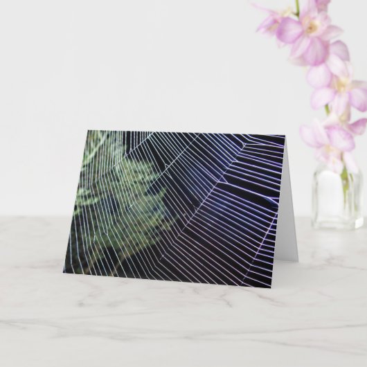 Web van de sinaasappelkruisspin kaart (Orchidee)