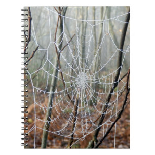 Web van European Garden Spider Photo Notebook Notitieboek