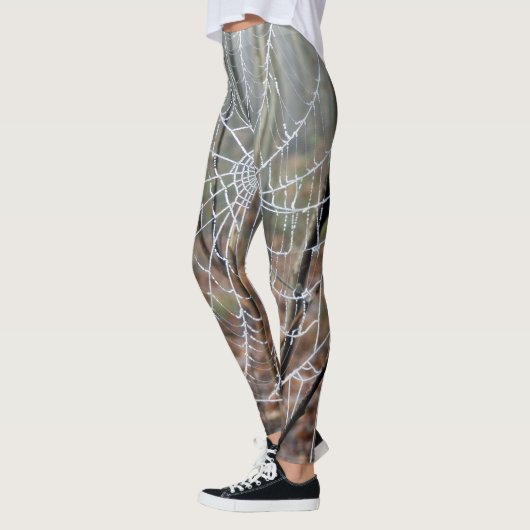 Web van Europese Tuin Spin Leggings (Links)