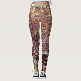 Web van Europese Tuin Spin Leggings