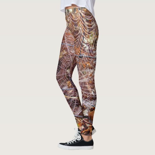 Web van Europese Tuin Spin Leggings (Links)