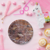 Web van Europese Tuin Spin Papier Bord (Feest)