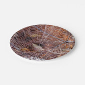 Web van Europese Tuin Spin Papier Bord (Gekanteld)