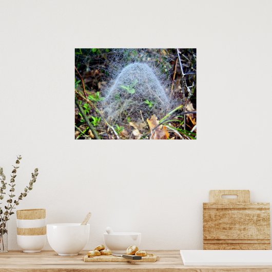 Web van Filmy Dome Spider Poster (Keuken)