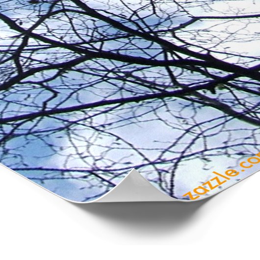 WEBBED SKY. POSTER (Hoek)
