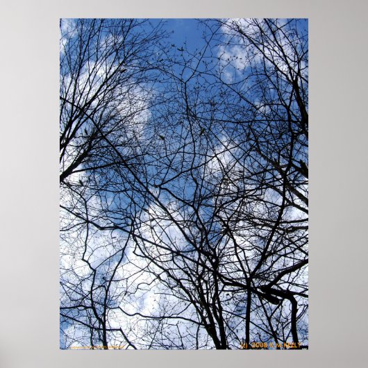 WEBBED SKY. POSTER (Voorkant)