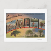 Webhannet, Maine (Wells Beach) Briefkaart (Voorkant)