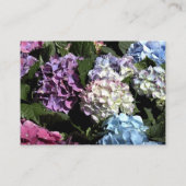 Website Lijst van Hydrangea Informatiekaartje (Achterkant)