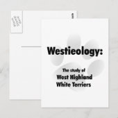 websiteologie briefkaart (Voorkant / Achterkant)