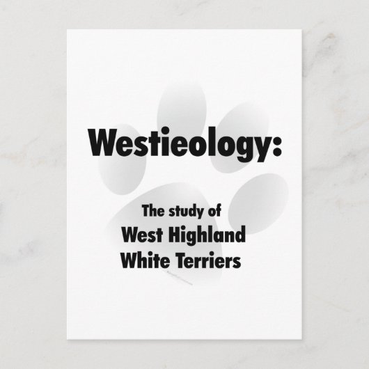 websiteologie briefkaart (Voorkant)