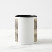 Webster, badgerweerstand mok (Midden)