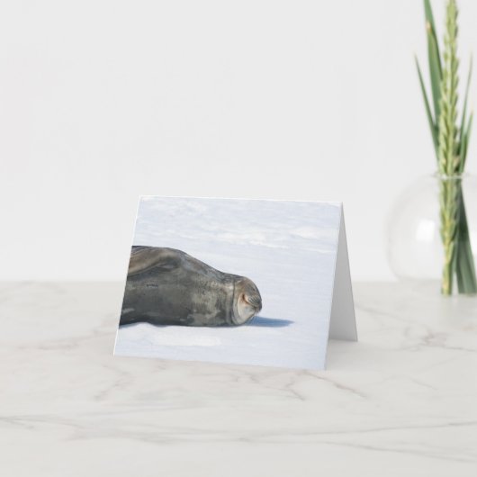 Weddell-zegelkaart Feestdagen Kaart (Voorkant)