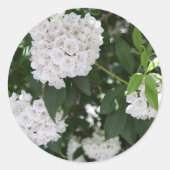 Weddenkers  White Mountain Laurel Ronde Sticker (Voorkant)