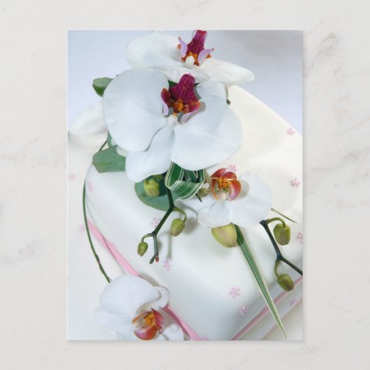 Weddenkoek Briefkaart (Voorkant)