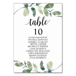 Weddenrennen, Eucalyptusgasten, zitplaatje Ta Kaart