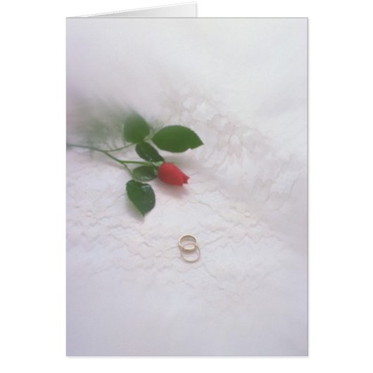 Weddenrennen Pillow (Voorkant)