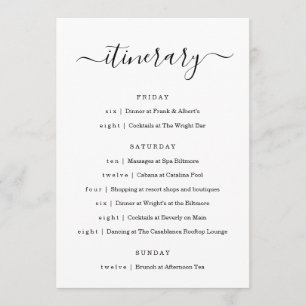 Weddenschap/Bachelorette Party/Birthday Itinerary Programmakaart