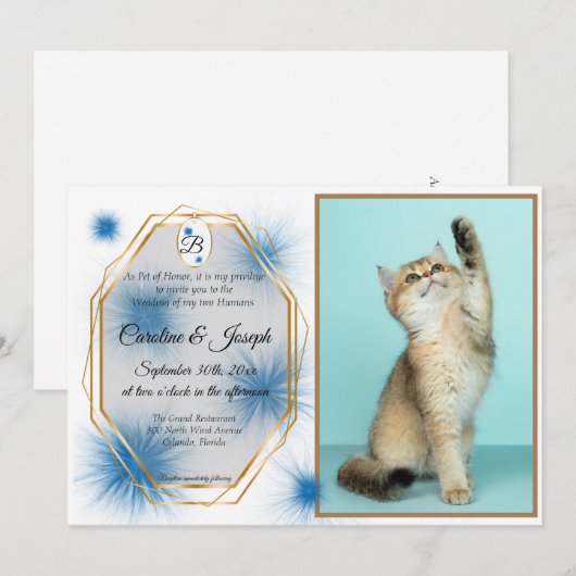 Weddenschap, foto's en Label met blauwe buis van F Kaart (Voorkant / Achterkant)