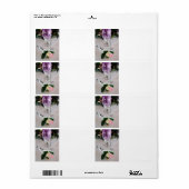 Weddenschap Glass Etiket (Full Sheet)
