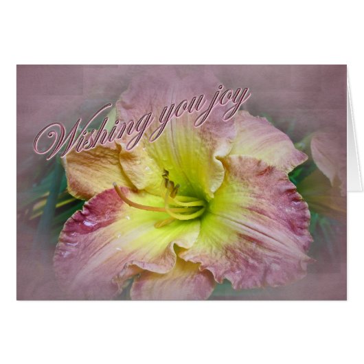 Weddenschap - Ik wens u plezier (Voorkant Horizontaal)