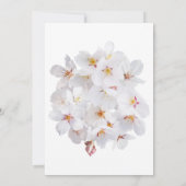 Weddenschap Kaart (Achterkant)