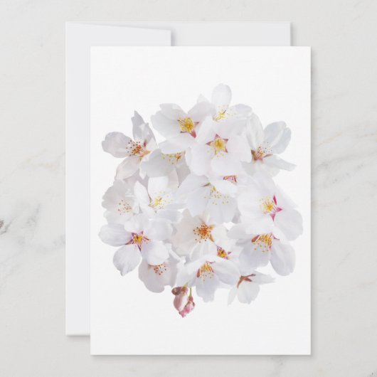 Weddenschap Kaart (Achterkant)