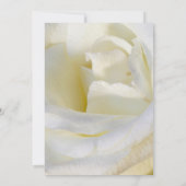 Weddenschap Kaart (Achterkant)