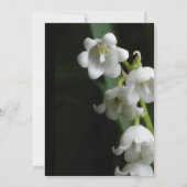 Weddenschap Kaart (Achterkant)