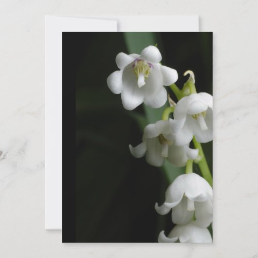 Weddenschap Kaart (Achterkant)