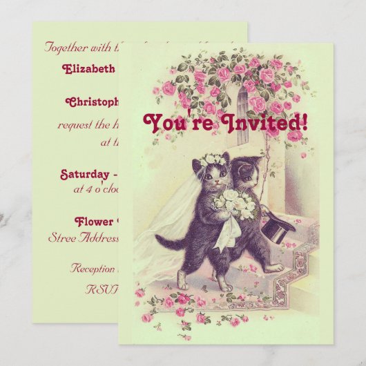Weddenschap Kats Pastel Green Kaart (Voorkant / Achterkant)