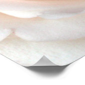 Weddenschap Roos Poster, S Cyr Poster (Hoek)