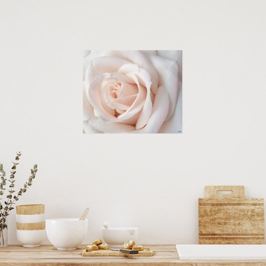 Weddenschap Roos Poster, S Cyr Poster (Keuken)