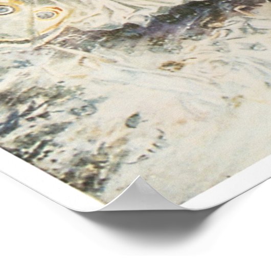 Weddenschap tussen de feeën poster (Hoek)