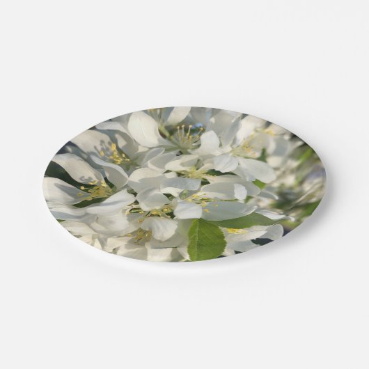 Weddenschap van 7-inch Borden Papieren Bordje (Gekanteld)