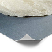 Weddenschap van Katharine Worsley Poster (Hoek)