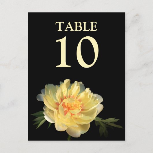 Weddenschappen Ontvangst Tafelnummers Kaarten Flor (Voorkant)